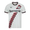 23/24 Bayer Leverkusen Away Jersey