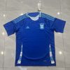 2024 Argentina National Team Away Football Shirt