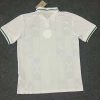 2023/2024 Nigeria National Team Away Football Shirt