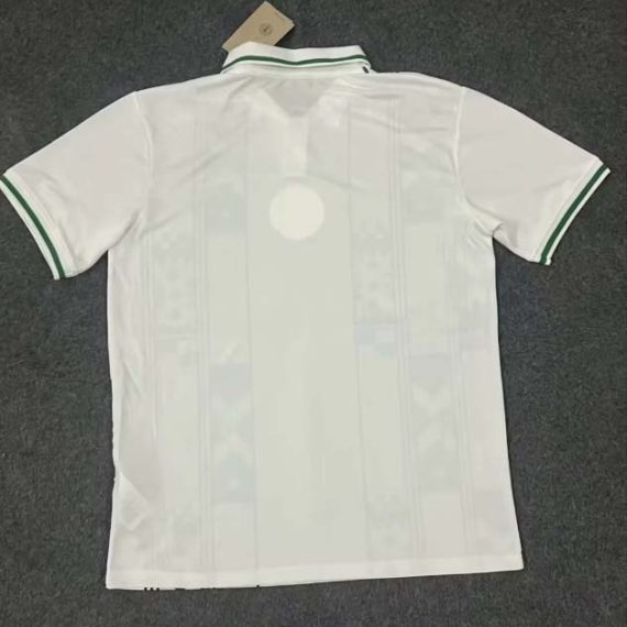 2023/2024 Nigeria National Team Away Football Shirt