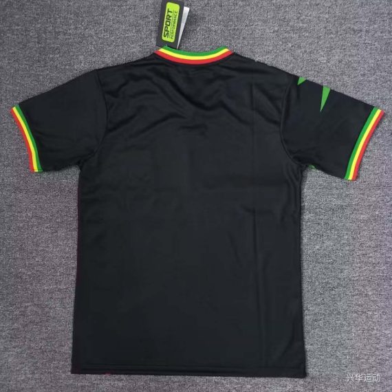 2024 Mali Africa Cup Third Away Football Shirt