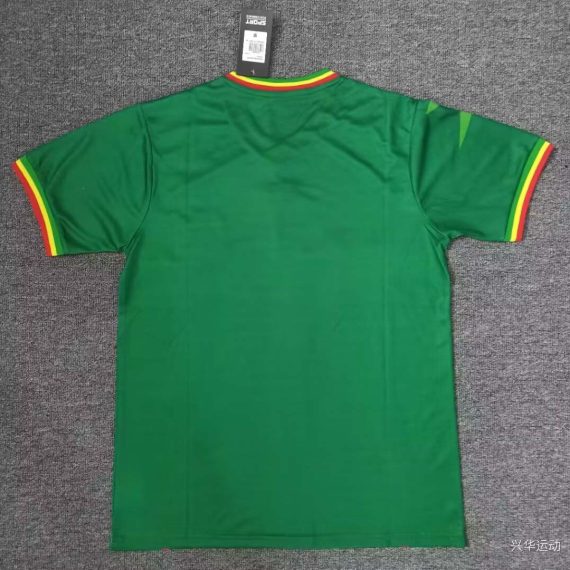 2024 Mali Africa Cup Away Football Shirt