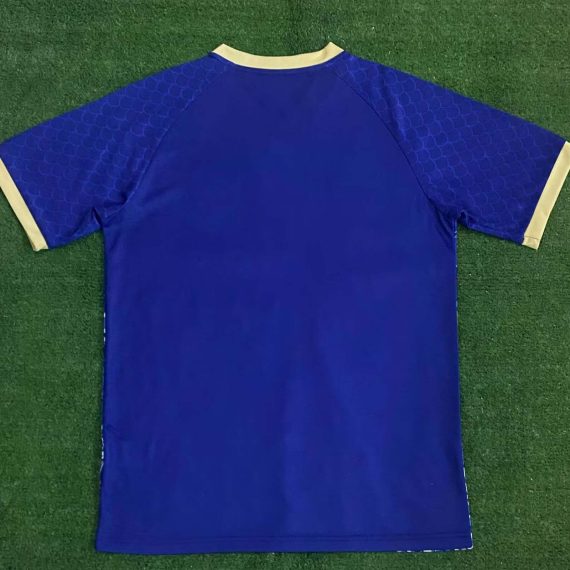 2024 Japan Special Edition Blue Football Shirt