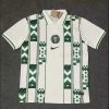 2023/2024 Nigeria National Team Away Football Shirt