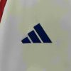 2024 Chile National Team Away Football Shirt