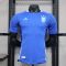 2024 Player Version Argentina Away Football Shirt