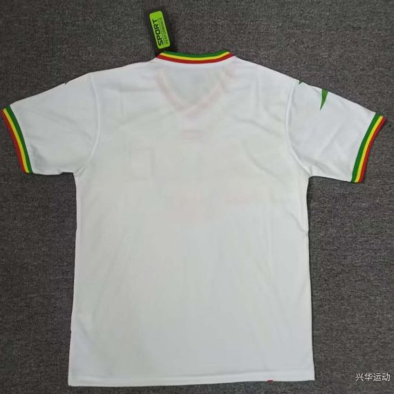 2024 Mali Africa Cup Home Football Shirt