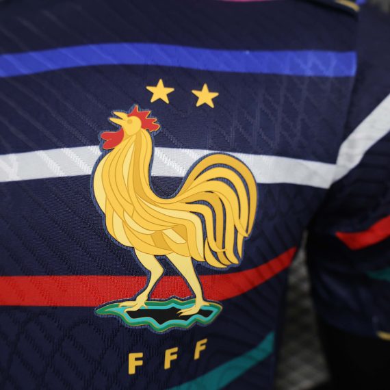 2024 Player Version France Training Wear Football Shirt