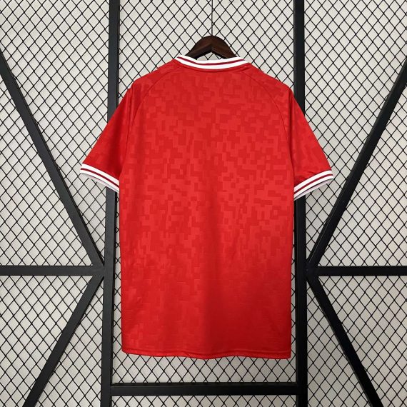 2024 Denmark National Team Home Football Shirt