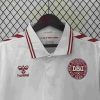 2024 Denmark National Team Away Football Shirt