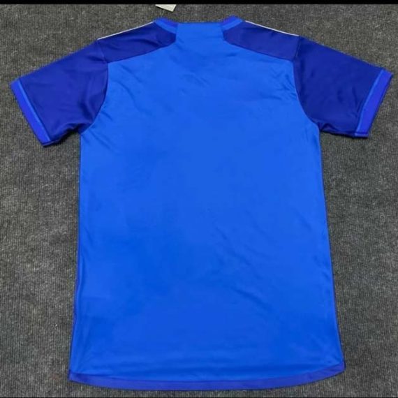 2024/2025 Cruzeiro Home Jersey