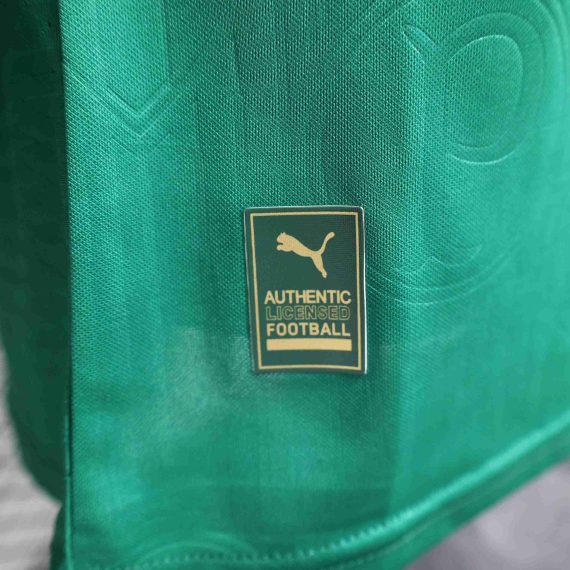 2024/2025 Player Version Palmeiras Home Jersey