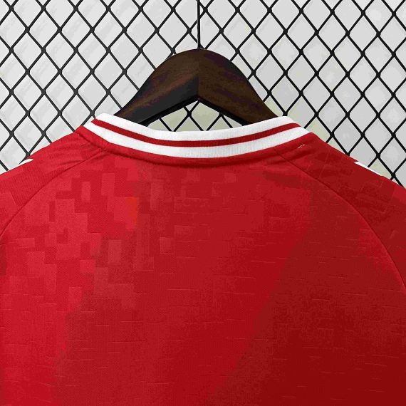 2024 Denmark National Team Home Football Shirt