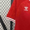 2024 Denmark National Team Home Football Shirt