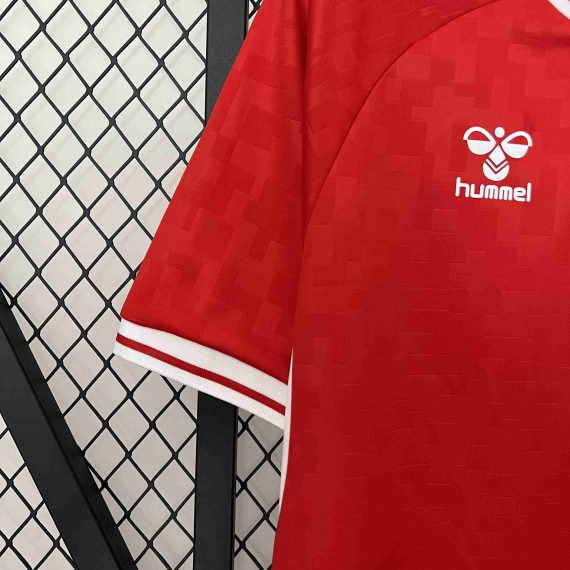 2024 Denmark National Team Home Football Shirt