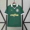 2024/2025 Palmeiras Home Jersey