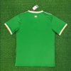 2024/2025 Celtic Special Edition Football Shirt