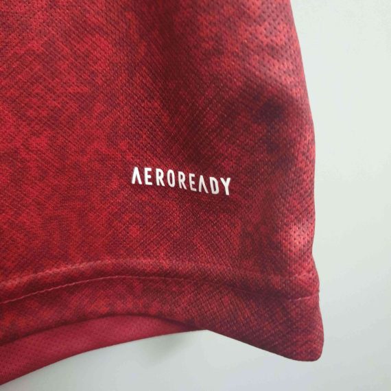 2020 Spain Red Home Soccer Shirt