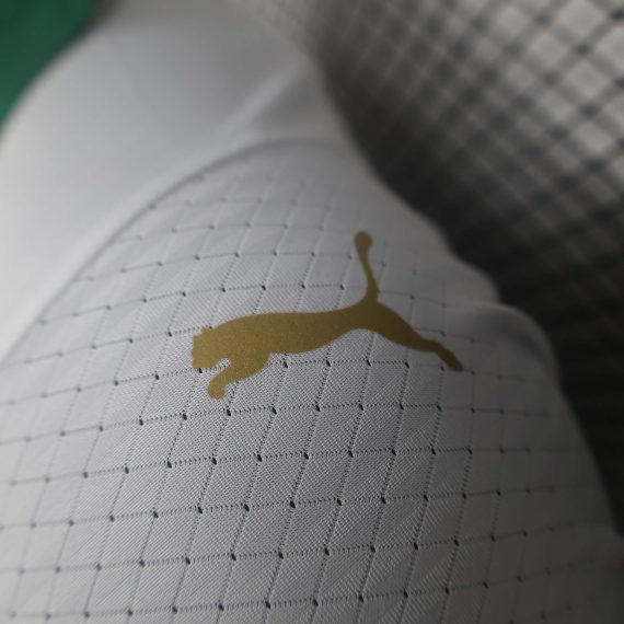 2024/2025 Player Version Palmeiras Away Jersey