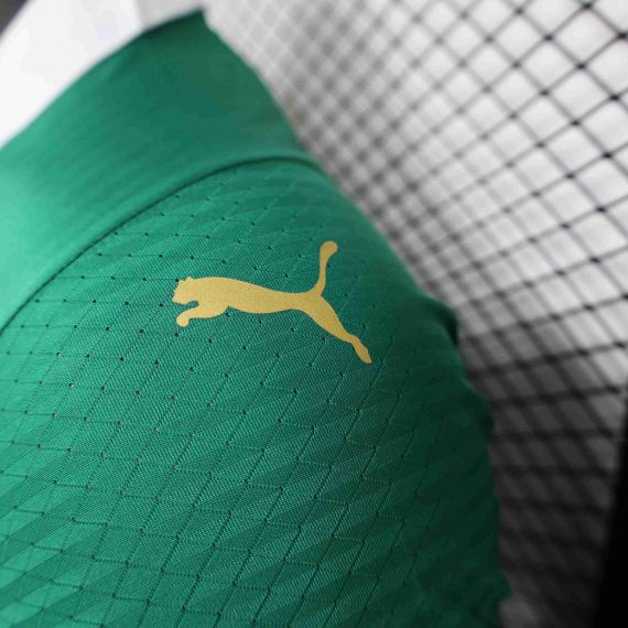 2024/2025 Player Version Palmeiras Home Jersey