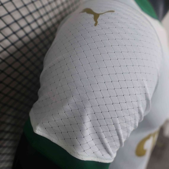 2024/2025 Player Version Palmeiras Away Jersey