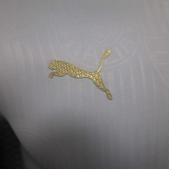 2024/2025 Player Version Palmeiras Away Jersey