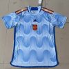 2022 FIFA World Cup Spain Away Soccer Shirt