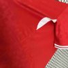 2024 Denmark National Team Home Football Shirt