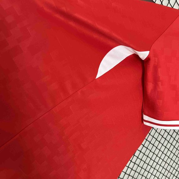 2024 Denmark National Team Home Football Shirt