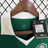 2024/2025 Palmeiras Home Jersey
