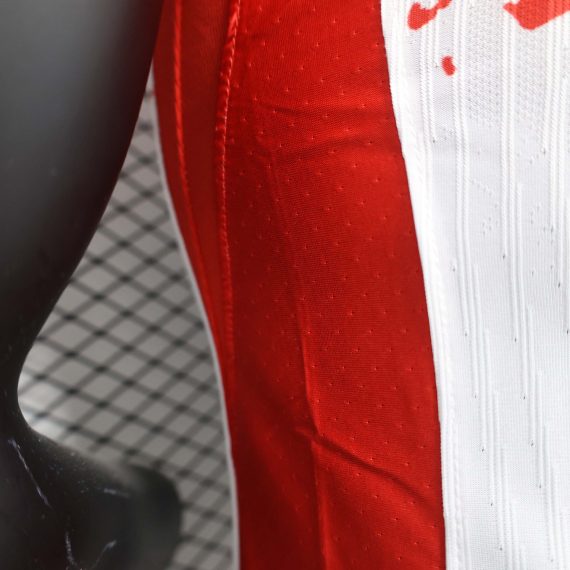 2024/2025 Player Version Psg Paris Saint-Germain Away Football Shirt