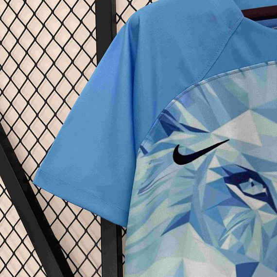 2024 Netherlands National Team Special Edition Football Shirt