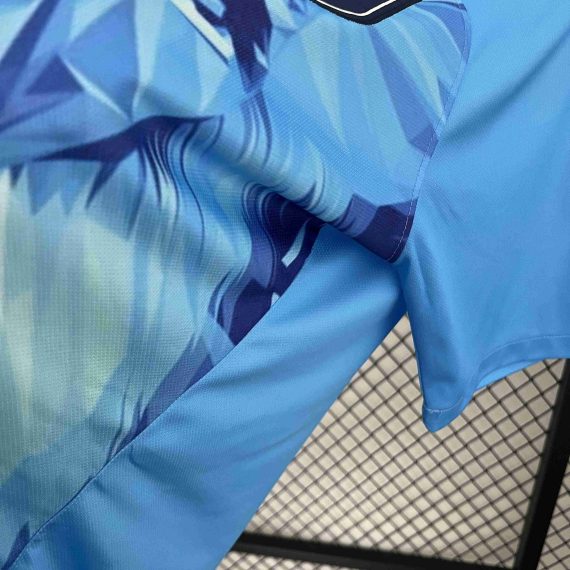 2024 Netherlands National Team Special Edition Football Shirt