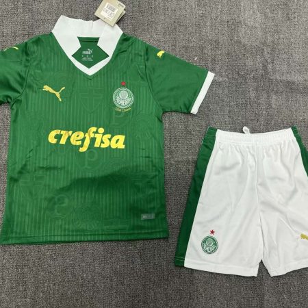 2024/2025 Palmeiras Home Jersey Kids Size Suit