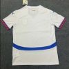 2024 Serbia National Team Away Football Shirt