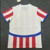 2024 Paraguay National Team Home Football Shirt