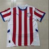 2024 Paraguay National Team Home Football Shirt