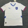 2024 Serbia National Team Away Football Shirt