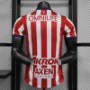 2024/2025 Player Version Chivas Home Soccer Jersey