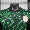 2024 Player Version Nigeria National Team Away Football Shirt