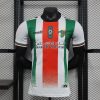 2024/2025 Player Version Club Deportivo Palestino Home Football Shirt
