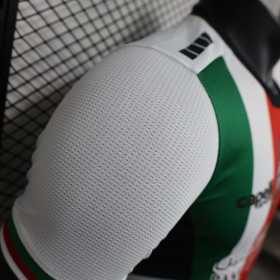 2024/2025 Player Version Club Deportivo Palestino Home Football Shirt