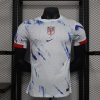 2024 Player Version Norway National Team Away Football Shirt