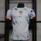 2024 Player Version Norway National Team Away Football Shirt