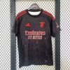 24/25 Benfica Away Football Shirt