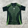 24/25 Algeria National Team Away Football Shirt