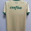 24/25 Palmeiras Third Away Jersey