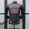24/25 Player Version Benfica Away Football Shirt