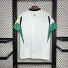 24/25 Newcastle United Third Away Football Shirt