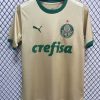 24/25 Palmeiras Third Away Jersey
